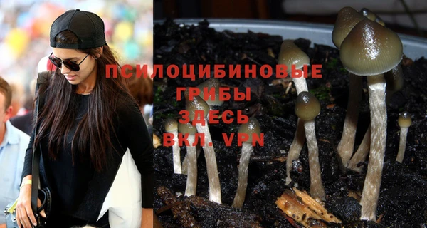 кокс Нефтекумск