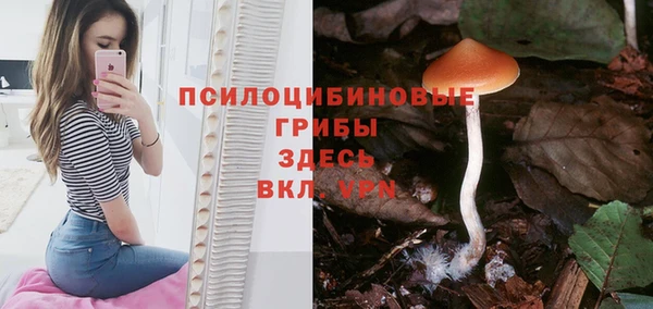 кокс Нефтекумск