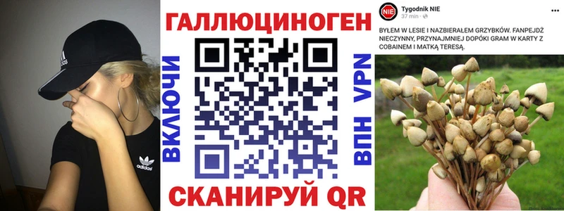 Псилоцибиновые грибы Psilocybine cubensis  mega   Скопин 