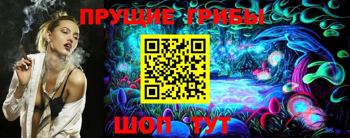 сколько стоит  Псилоцибиновые грибы Psilocybine cubensis  Вход с VPN  Скопин 